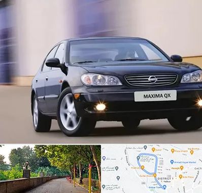 لوازم یدکی ماکسیما در فلکه گاز رشت 