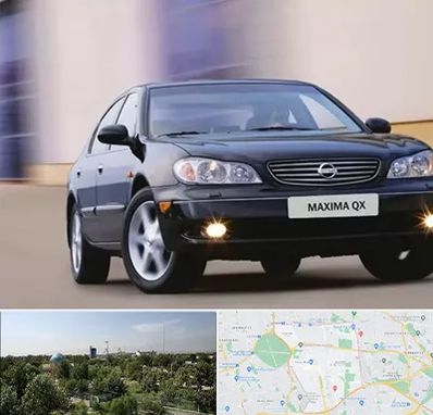 لوازم یدکی ماکسیما در منطقه 16 تهران 