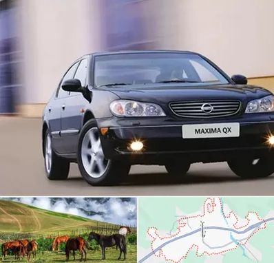 لوازم یدکی ماکسیما در تالش