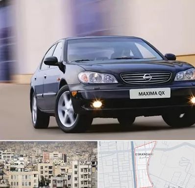 لوازم یدکی ماکسیما در اسکندری