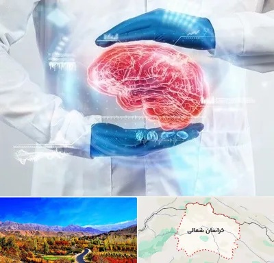 دکتر مغز و اعصاب در خراسان شمالی