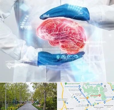 دکتر مغز و اعصاب در قدوسی غربی شیراز 