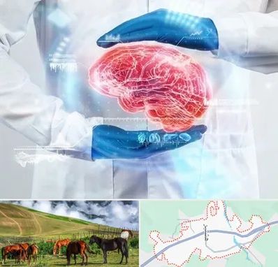 دکتر مغز و اعصاب در تالش