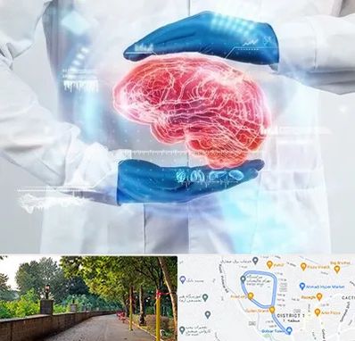 دکتر مغز و اعصاب در فلکه گاز رشت 