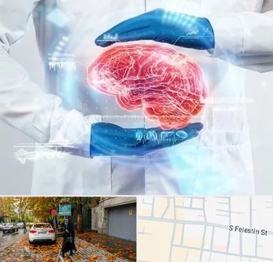 دکتر مغز و اعصاب در خیابان فلسطین