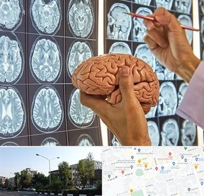 جراح مغز و اعصاب در میدان کاج 