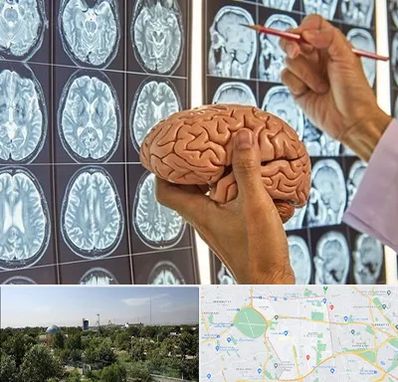 جراح مغز و اعصاب در منطقه 16 تهران 