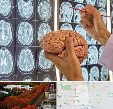 جراح مغز و اعصاب در منطقه 6 تهران 