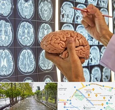 جراح مغز و اعصاب در خیابان ارم شیراز 