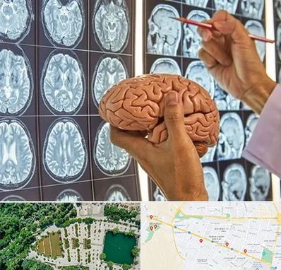 جراح مغز و اعصاب در وکیل آباد مشهد 