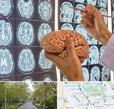 دکتر فوق تخصص جراح مغز و اعصاب در قدوسی غربی شیراز 