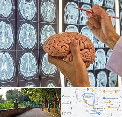 دکتر فوق تخصص جراح مغز و اعصاب در فلکه گاز رشت 