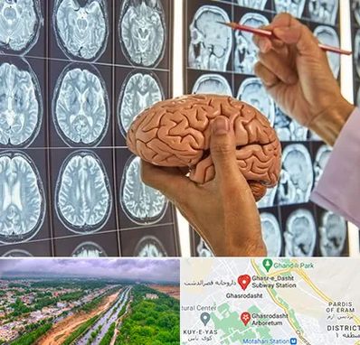 دکتر فوق تخصص جراح مغز و اعصاب در قصرالدشت شیراز 