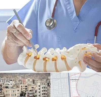 دکتر ستون فقرات در اسکندری