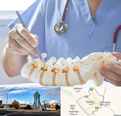 دکتر ستون فقرات در تایباد