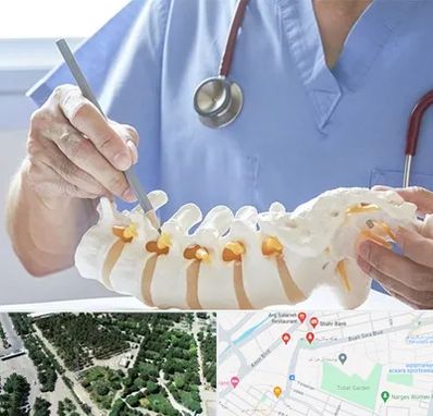 دکتر ستون فقرات در سالاریه قم