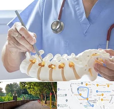 دکتر ستون فقرات در فلکه گاز رشت 