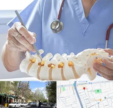 دکتر ستون فقرات در کوی فیروز تبریز