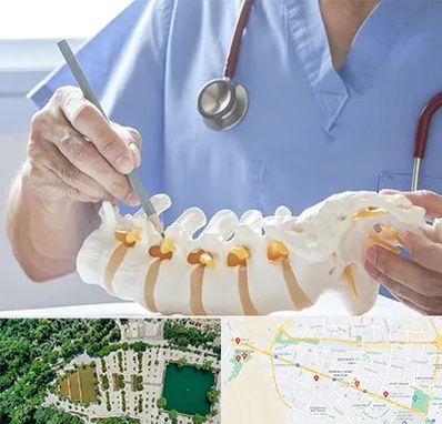 دکتر ستون فقرات در وکیل آباد مشهد 