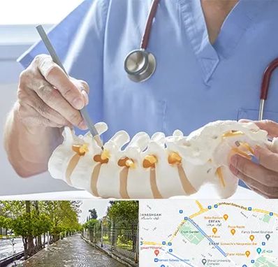 دکتر ستون فقرات در خیابان ارم شیراز 