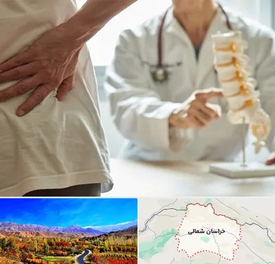 دکتر فوق تخصص ستون فقرات در خراسان شمالی