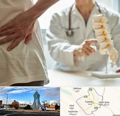 دکتر فوق تخصص ستون فقرات در تایباد