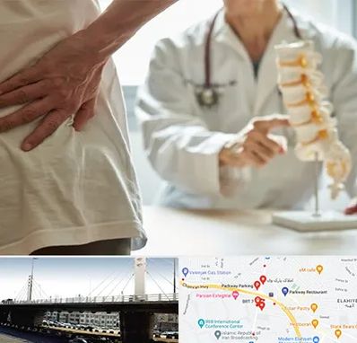 دکتر فوق تخصص ستون فقرات در پارک وی 