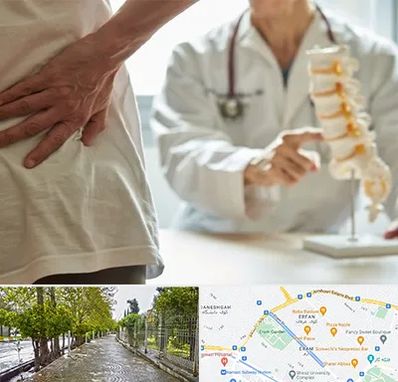 دکتر فوق تخصص ستون فقرات در خیابان ارم شیراز 