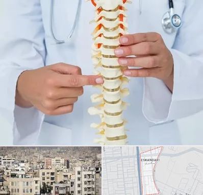 جراح ستون فقرات در اسکندری