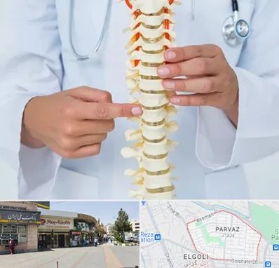 جراح ستون فقرات در پرواز تبریز
