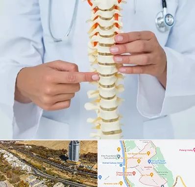 جراح ستون فقرات در خیابان نیایش شیراز 