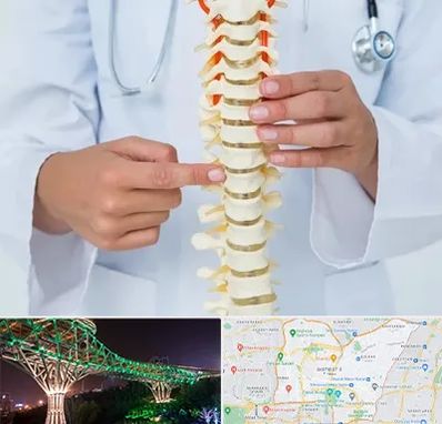 جراح ستون فقرات در منطقه 3 تهران 