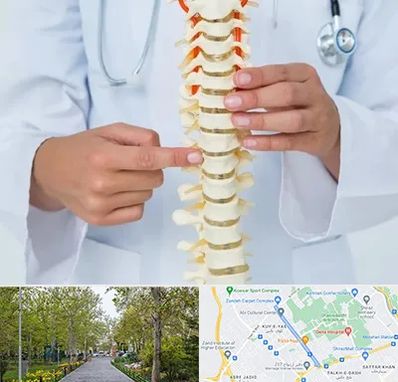 جراح ستون فقرات در قدوسی غربی شیراز 
