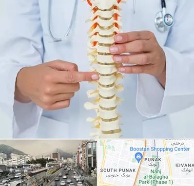 جراح ستون فقرات در پونک 