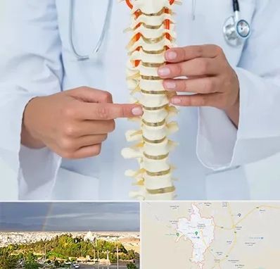 جراح ستون فقرات در تربت حیدریه