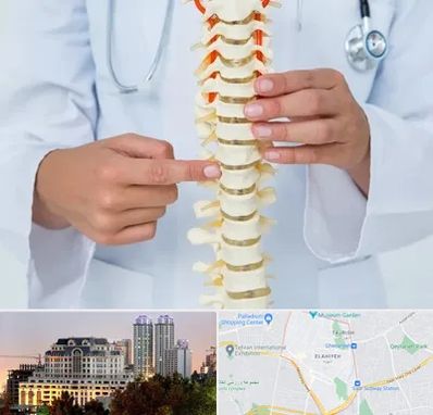 جراح ستون فقرات در فرشته 