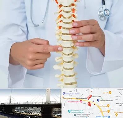 جراح ستون فقرات در پارک وی 