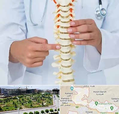 جراح ستون فقرات در پردیس