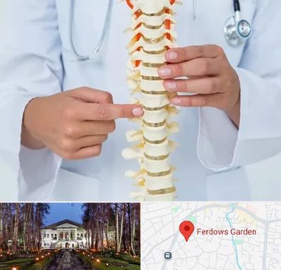 جراح ستون فقرات در باغ فردوس
