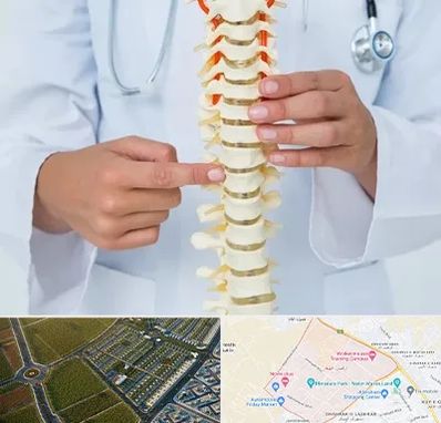 جراح ستون فقرات در الهیه مشهد 