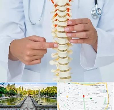 جراح ستون فقرات در سرسبز 