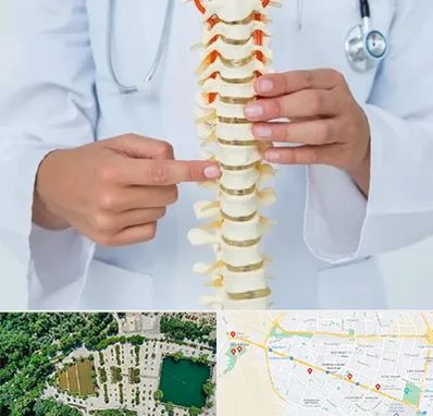 جراح ستون فقرات در وکیل آباد مشهد 