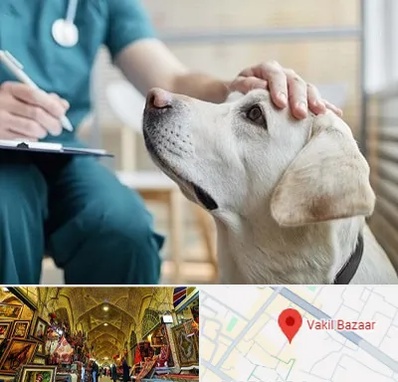 کلینیک دامپزشکی در بازار وکیل شیراز