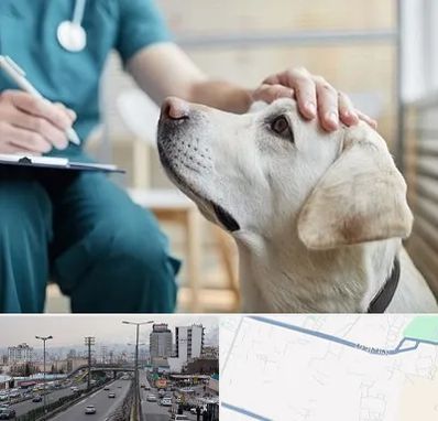 کلینیک دامپزشکی در بلوار ارتش