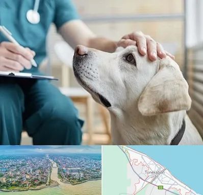 کلینیک دامپزشکی در تنکابن