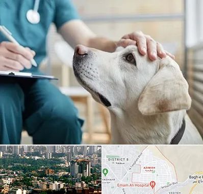 کلینیک دامپزشکی در عظیمیه کرج