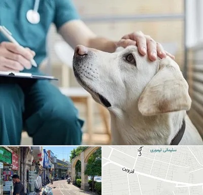 کلینیک دامپزشکی در خیابان قزوین