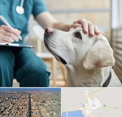 کلینیک دامپزشکی در بندر ماهشهر