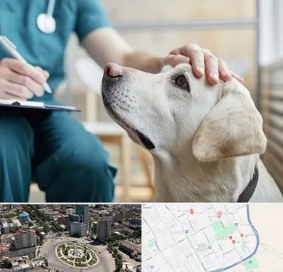 کلینیک دامپزشکی در زرافشان اسلامشهر