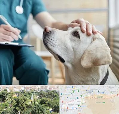 کلینیک دامپزشکی در منطقه 13 تهران